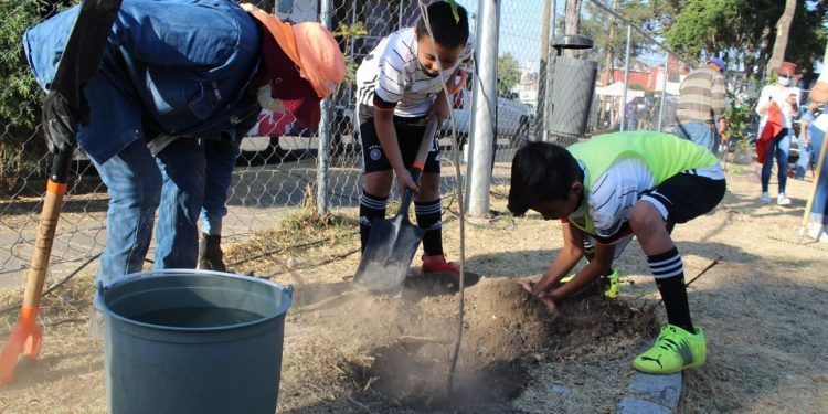 Siembra Ayuntamiento de Puebla más de 14 mil árboles en julio