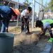 Siembra Ayuntamiento de Puebla más de 14 mil árboles en julio