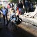 Retirarán cinco árboles del zócalo afectados por lluvias y vientos en Puebla