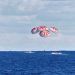 Cápsula de carga de Space X logra amerizaje en aguas de Florida