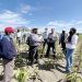 Restituyen a campesinos