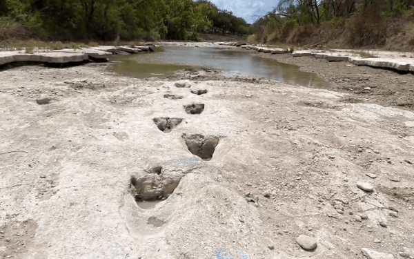 Sequía deja al descubierto en Texas huellas de dinosaurio de 113 millones de años