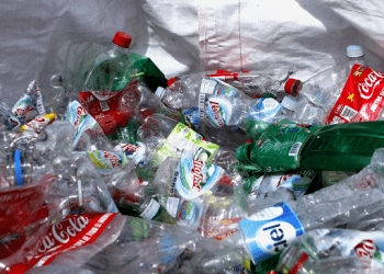 Piden formalizar el reciclaje como actividad productiva