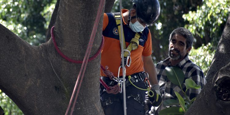 Bajan a indigente que subió a un árbol en Puebla