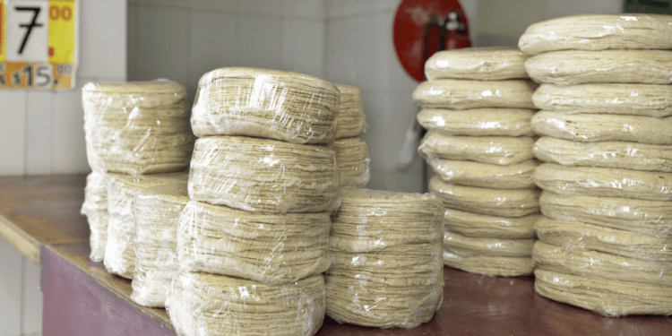 Prevén incremento de precio de la tortilla: a 20 pesos kilo
