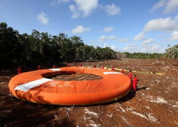 Juez admite ampliación de amparo contra Tramo 5 del Tren Maya, informa Greenpeace México