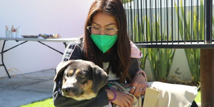 Cumple Medio Ambiente ciclo de rescate y adopción de canes