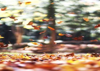 El equinoccio de otoño
