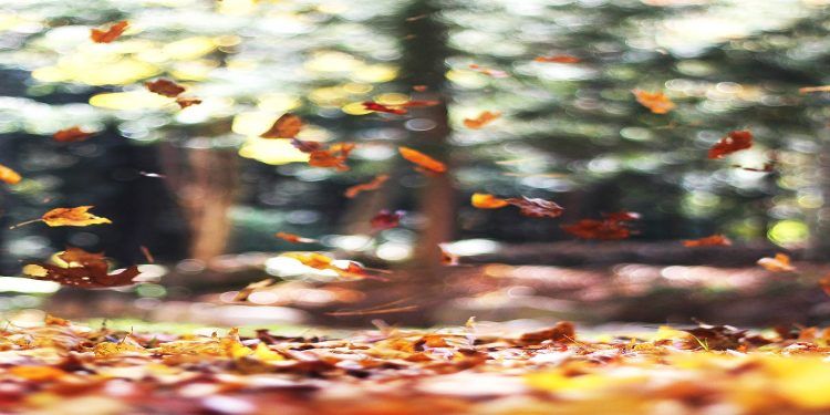 El equinoccio de otoño