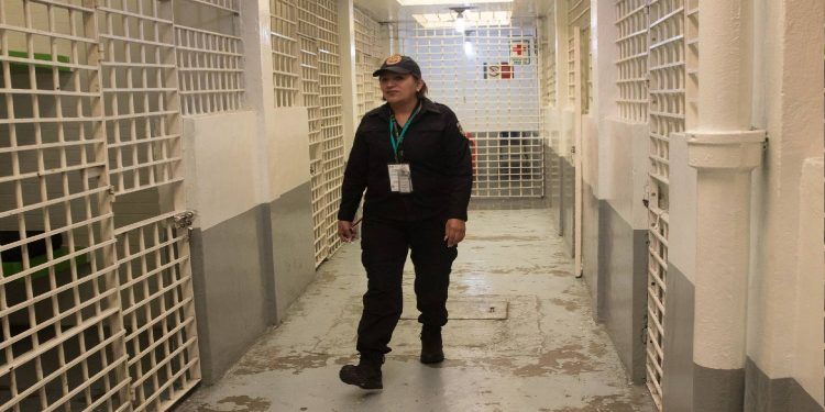 Habrá menú ‘mexicano’ para quienes caigan en el ‘Torito’, en la CDMX
