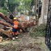 Atiende Ayuntamiento de Puebla zonas inundadas por lluvias