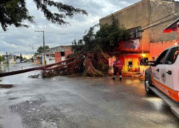 Atiende Ayuntamiento de Puebla reporte por caída de árboles en la ciudad