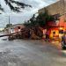 Atiende Ayuntamiento de Puebla reporte por caída de árboles en la ciudad