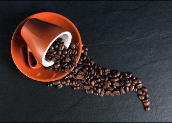 Día Internacional del Café; Puebla, entre los principales productores