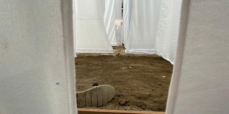 Sumérgete en patios con voces de migración