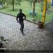 Once heridos y tres muertos, saldo de tiroteo en dos escuelas de Brasil