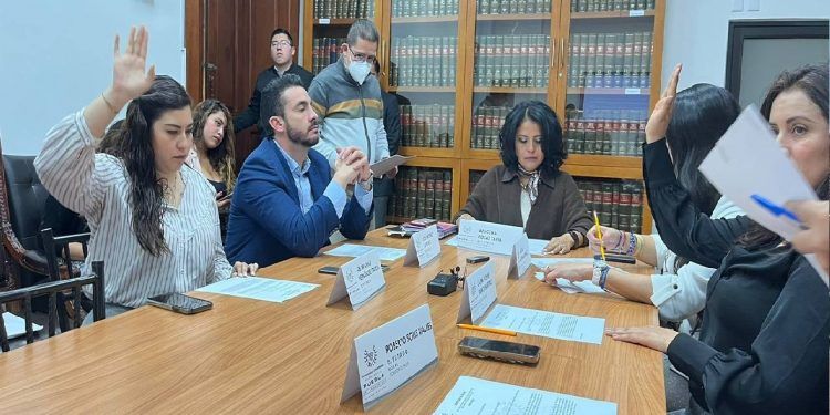 Comisión de Salud del Congreso de Puebla aprueba exhortos en favor de la salud de la niñez
