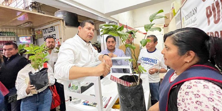 ARMENTA, RADIOGRAFÍA DE UN MOMENTO DE DEFINICIONES
