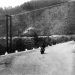 IN MEMORIAM / BIKERS DEL SIGLO XX