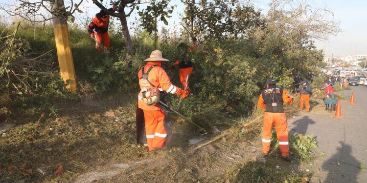 casuarinas rehabilitacion