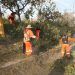casuarinas rehabilitacion