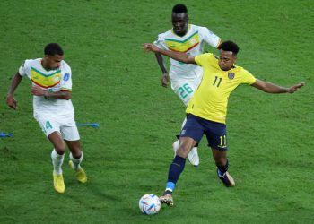 FIFA World Cup 2022 - Group A Ecuador vs Senegal