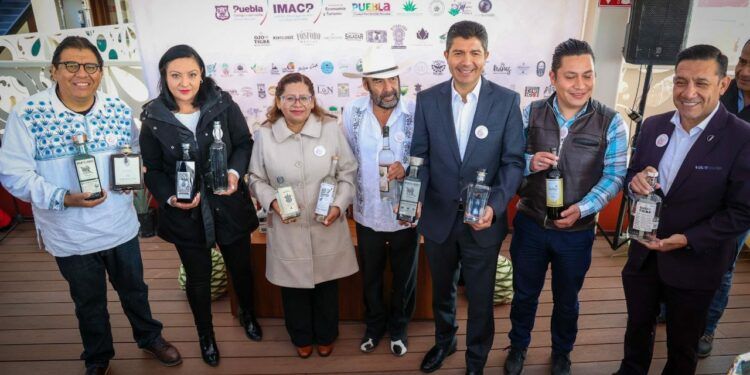 mezcal feria
