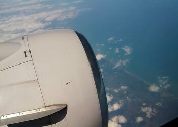 avioneta florida