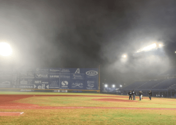 neblina pericos