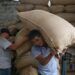Crece 72% producción de café en Puebla para 2023: SDR