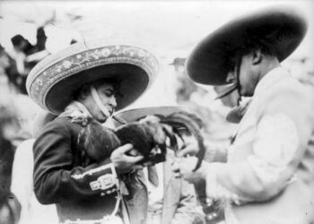Apuestas en Plata