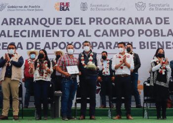 apoyo campo