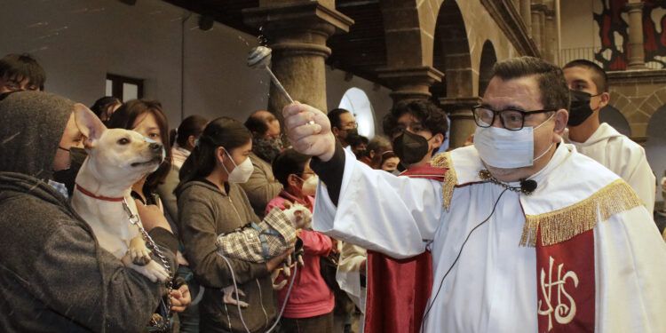 Poblanos acuden con mascotas para la bendición por fiesta de San Antonio Abad