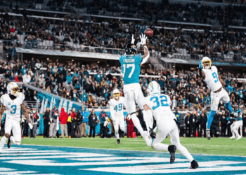 jaguars