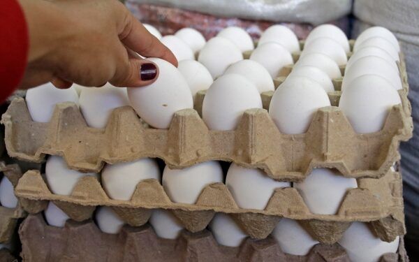 Precio del huevo seguirá subiendo en México; influenza aviar y clima afectan producción