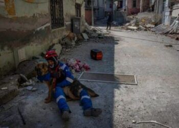 Rescatistas buscan a mascotas entre escombros en Turquía; hallan a dos a una semana del sismo