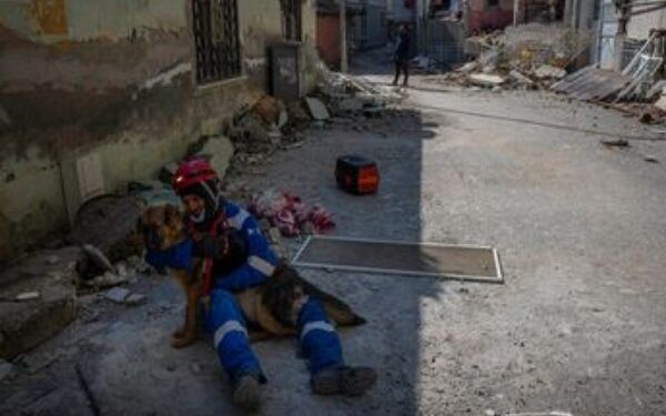Rescatistas buscan a mascotas entre escombros en Turquía; hallan a dos a una semana del sismo