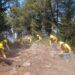 Realizan acciones preventivas contra incendios forestales en Puebla