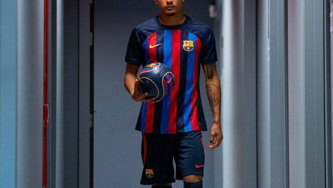 julian araujo c
