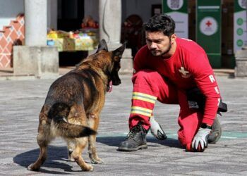Acuden socorristas poblanos de Cruz Roja a labores de rescate en Turquía