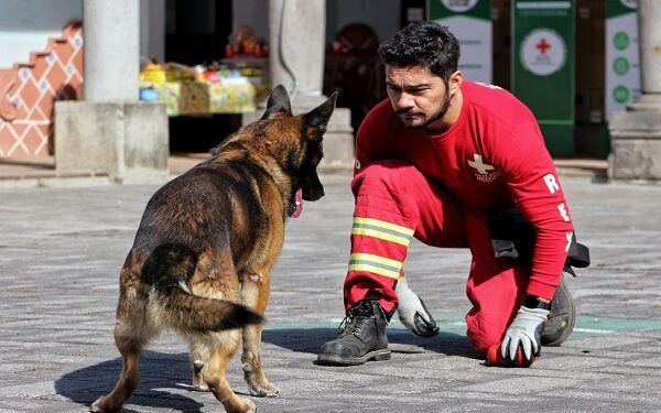 Acuden socorristas poblanos de Cruz Roja a labores de rescate en Turquía