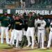 Pericos repetirá Line Up de 2022