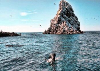 Islas de México poco conocidas para visitar