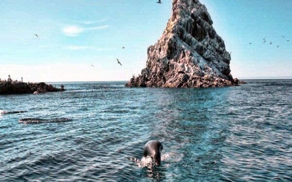 Islas de México poco conocidas para visitar