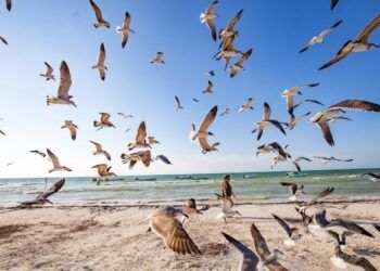 Islas más turísticas de México