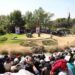 africam