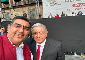 amlo salomon