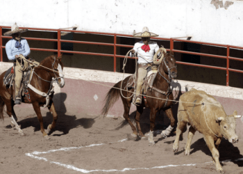 Deporte nacional se vive en Puebla
