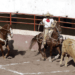 Deporte nacional se vive en Puebla