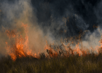 incendios